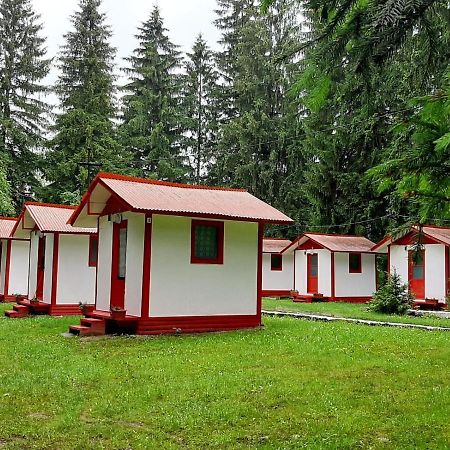 Hotel Casute Valea Zanelor Covasna Exteriér fotografie