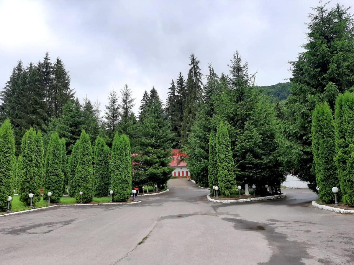 Hotel Casute Valea Zanelor Covasna Exteriér fotografie