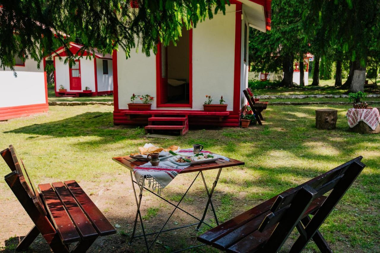 Hotel Casute Valea Zanelor Covasna Exteriér fotografie